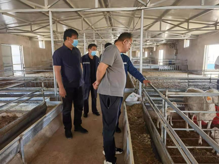 圖片3.png 圖片3.png